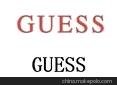 GUESSƷ鳧׼