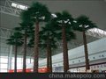 仿真植物 仿真树 仿真植物厂家 仿真树批发 假树 仿真棕榈树