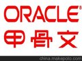 苏州力群科技具口碑的Oracle 数据库企业版软件供应—Oracle标准版苏州原厂代理