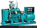 40KW玉柴柴油发电机组