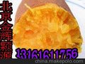 供应金辉颗源脱毒红薯种子种苗红薯高产栽培技术