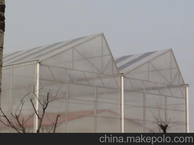 供應農豐 蔬菜大棚建設圖片