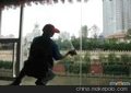 东（保洁，精彩）东花市保洁公司磁器口清洗地毯公司 100%满意+受益
