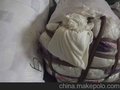 布碎
