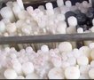 PPR棒‐PPR棒 厂家直销