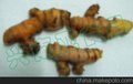 泰国进口 泰式新鲜小黄姜 1kg