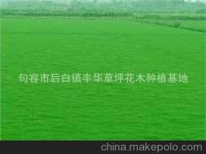 кỪƺľֲ