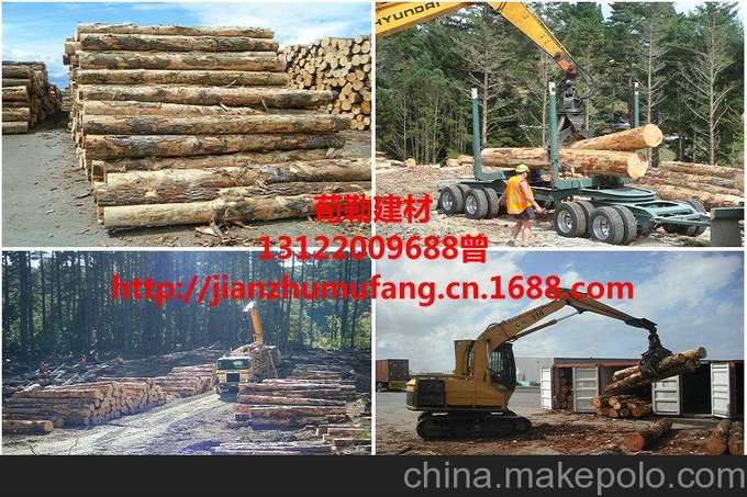 輻射松木材加工廠(chǎng)大量批發(fā)工地支模用輻射松木方 輻射松口料圖片