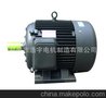 Y系列三相异步电动机Y160M1-2/11KW