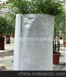 |ɰ(zhun)PPo(w)