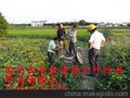 供应昆山市疏通大中型下水道 环卫抽粪公司68282895