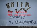 康明斯QSL9分体活塞3966721/3974404活塞