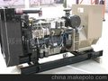 河南郑州柴油发电机组50KW