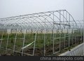 蔬菜大棚建设，温室大棚建设，大棚骨架建设，温室工程，温室大棚