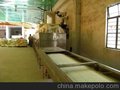 大米微波杀虫机 粮食加工设备 杀菌设备 微波杀菌