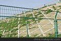 高速公路隔离栅