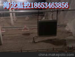 hl-1海龍溫室采暖鍋爐圖片