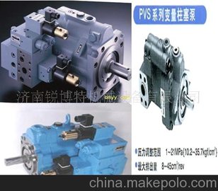 ӱʡӦձԽPVS-1B-16N2-Z-12