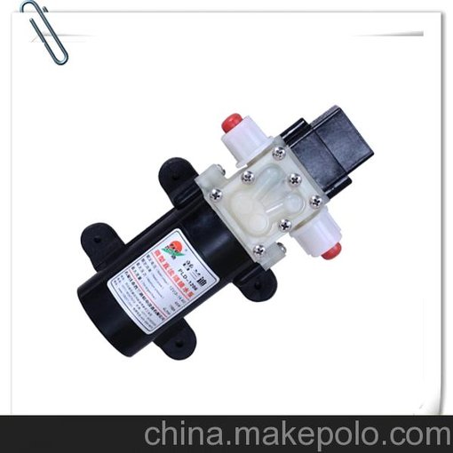 普蘭迪微型水泵就是棒圖片