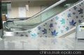 供应联众202彩色不锈钢电梯板(图)