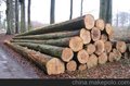 供应紫檀雕刻品进口报价方案策划