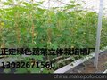 正定供应农业蔬菜立体式种植槽