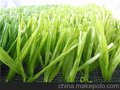 体育运动人造草坪