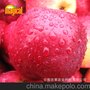 批發供應紅玫瑰ecco 水果 進口水果 云南水果批發 水果