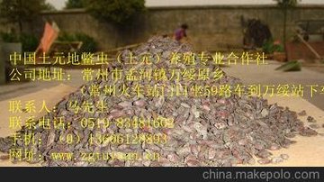 (yng)ݳMx ԪN硢N B(yng)ֳԪ