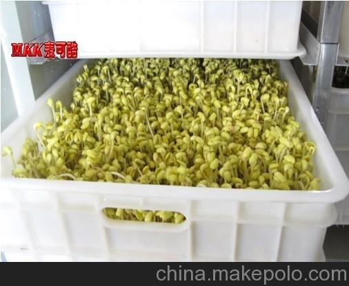 東莞豆芽機(jī)械 自動(dòng)淋水工廠直供圖片