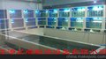 天津长盛海鲜缸  塘沽酒店鱼缸