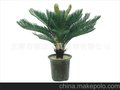 厂家推荐 仿真铁树 塑胶铁树 人造铁树 盆栽植物 植物工艺品