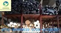 供应peek供应德国进口PEEK棒/黑色PEEK棒