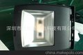 双光源100W泛光灯/LED投光灯 IP65 100W背包灯