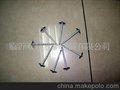 镀锌光杆瓦楞钉(图)