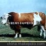 金华无线呼叫器,东阳超市呼叫器,兰溪餐厅无线呼叫器,义乌茶楼无线呼叫器