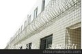 看守所防护网、监狱防护网、防护网，刀片刺网定点采购单位