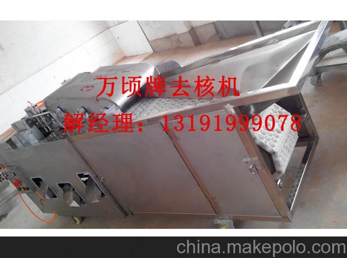 櫻桃去核機(jī) 櫻桃去核設(shè)備圖片