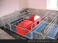 产床-母猪产床、粪板、畜牧机械设备、养猪设备、分娩栏