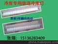 供应其他BLLKW20-BB-XT-ZR  20w led冷库灯