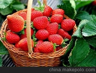 Ȼa(chn)sݮ֭Ʒ|(zh)ϳ˃rm