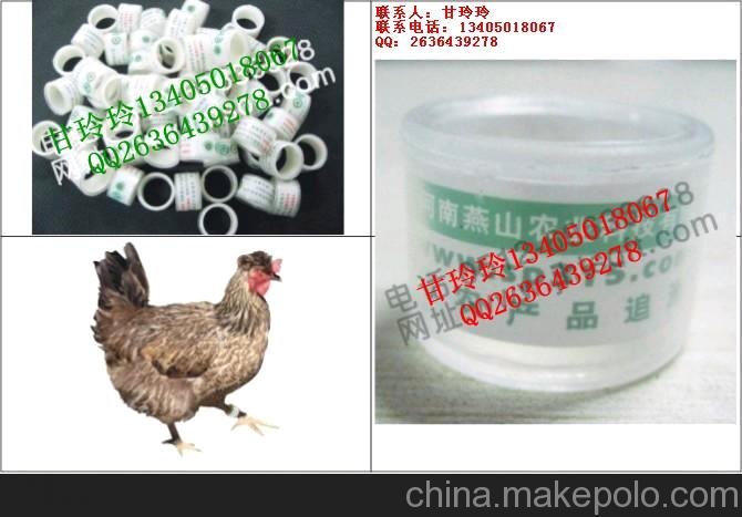 家禽腳環(huán)雞鴨鵝禽類(lèi)防偽腳環(huán) 雞腳扣圖片