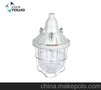 BAD51-250系列隔爆型防爆灯