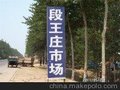 山东聊城西瓜基地段王庄交易市场