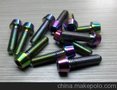供应DIN912 锥头钛合金螺丝 m6*20 彩色