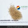 鼠茅草种子，果园地毯好帮手—北京嘉禾源硕生态科技有限公司