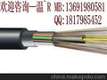 汉信GYFTA光缆4芯单模光缆 4芯铠装光缆