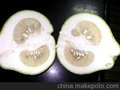 出口级沙田柚