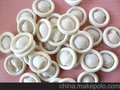 河北双健销售米黄色通用防静电指套，乳胶制品