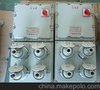 BX-C系列防爆照明（动力）配电箱（检修电源插座箱）